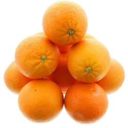 ORANGE SALUTIANA CIBEL KG